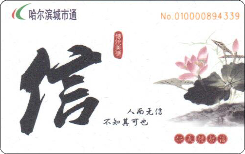 9102.jpg