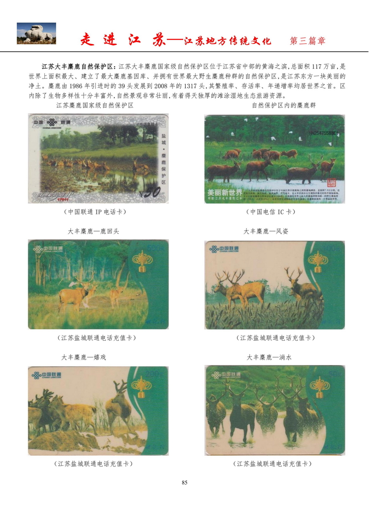 《走进江苏》电信卡集南京吕辉_87.jpg