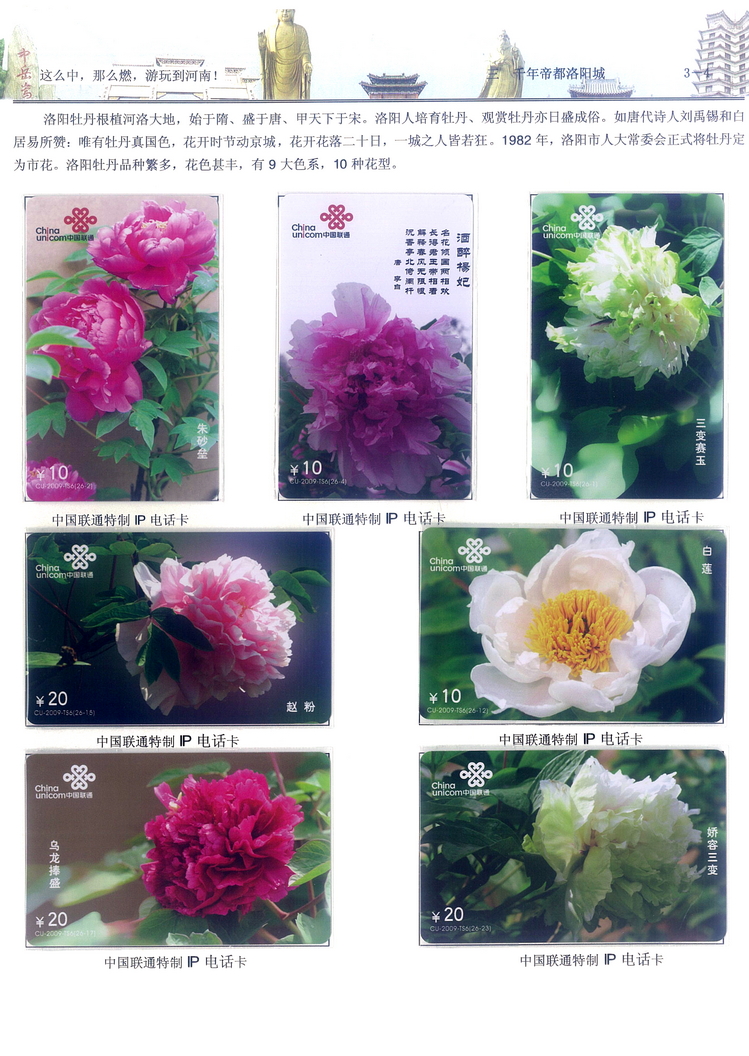 《游玩到河南》卡集楚福河204.jpg