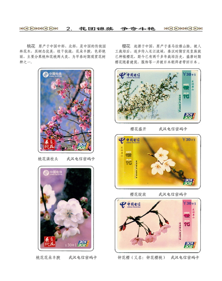 《说花》电信卡集王纯道遗作203.jpg