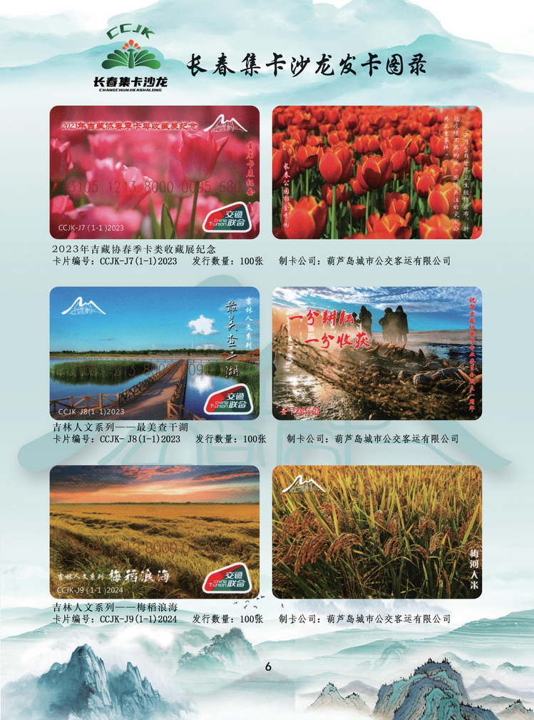 长春集卡沙龙发卡图录_6.jpg