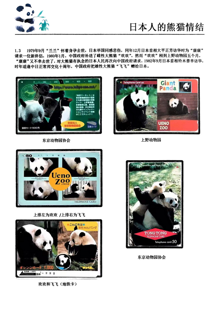 日本人的熊猫情结（郭念思）-03.jpg
