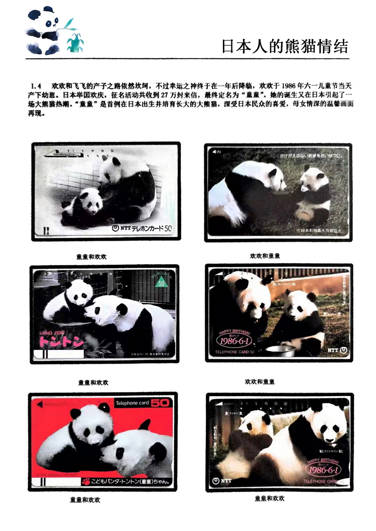日本人的熊猫情结（郭念思）-04.jpg