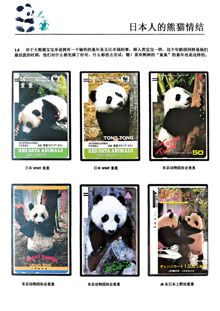 日本人的熊猫情结（郭念思）-06.jpg