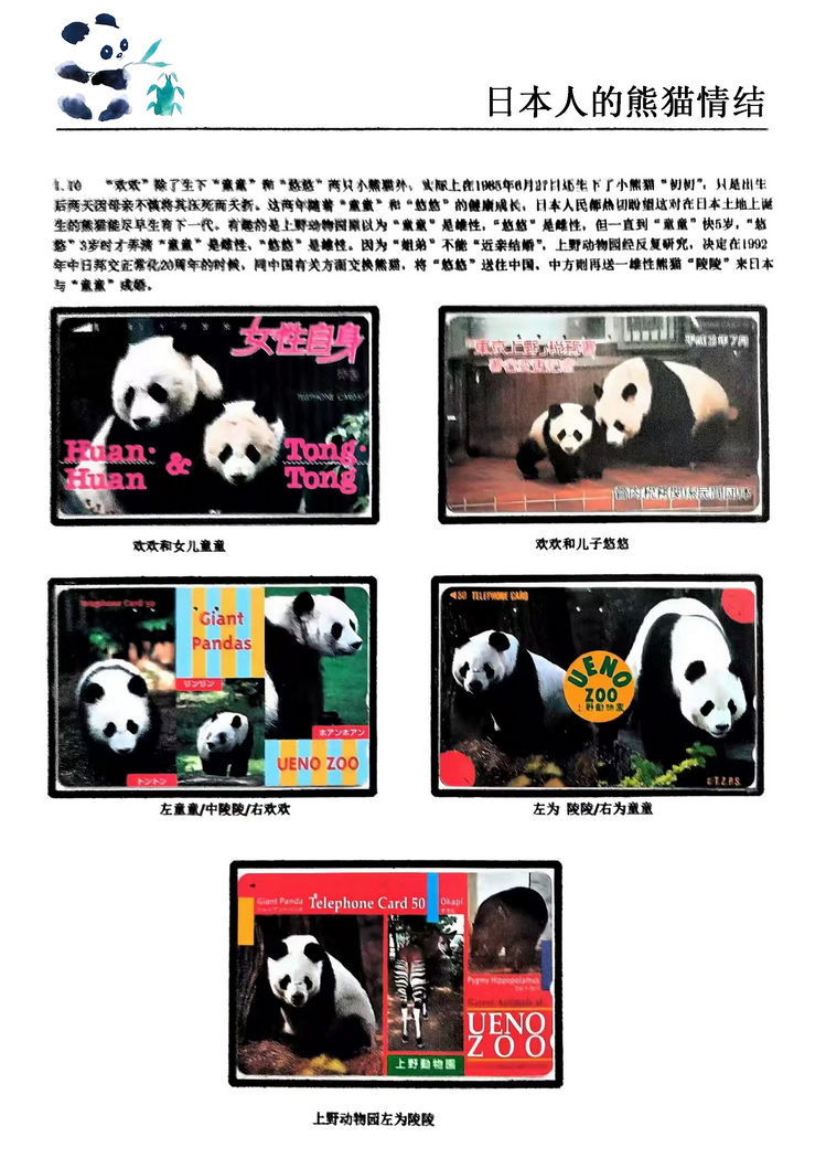 日本人的熊猫情结（郭念思）-10.jpg