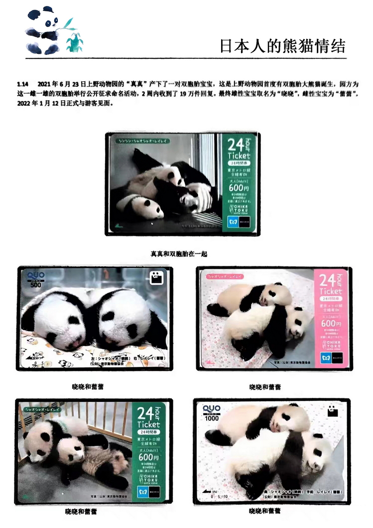 日本人的熊猫情结（郭念思）-14.jpg