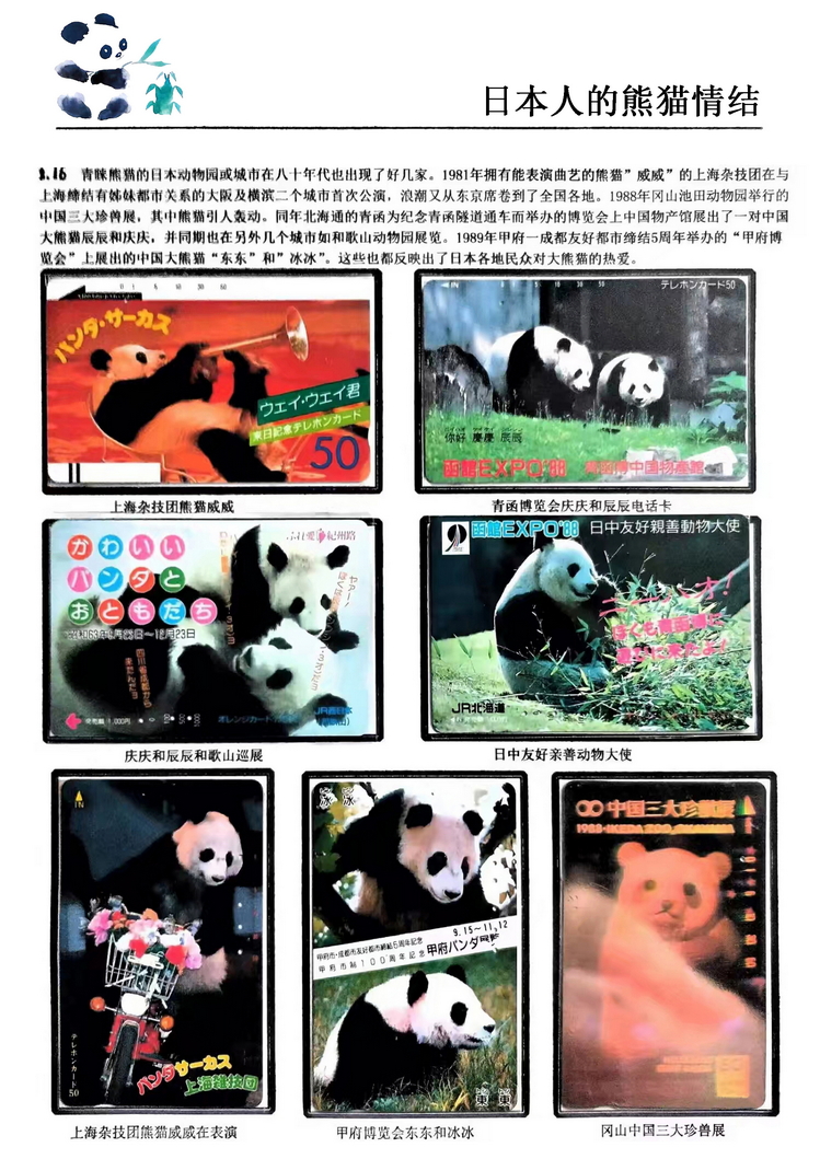 日本人的熊猫情结（郭念思）-16.jpg