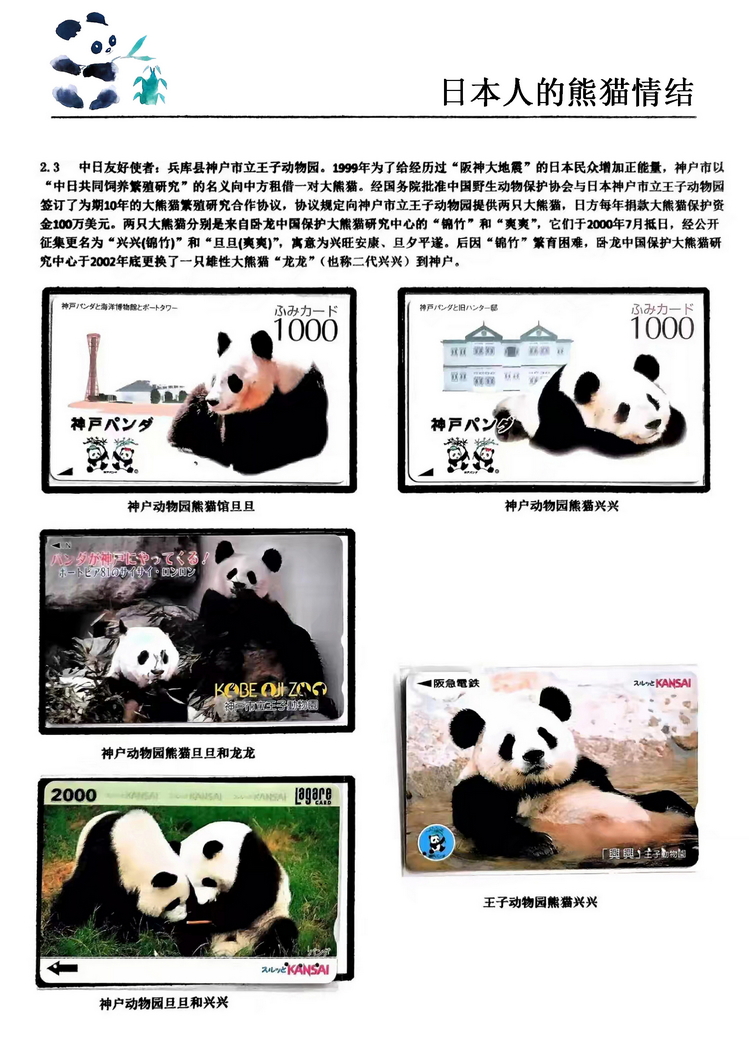 日本人的熊猫情结（郭念思）-19.jpg