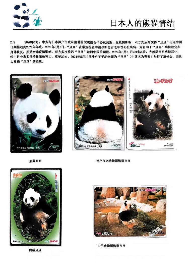 日本人的熊猫情结（郭念思）-21.jpg