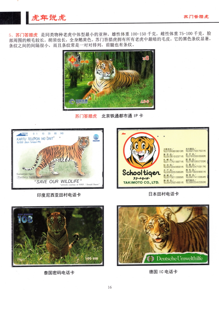 虎年说虎-方政-16.jpg