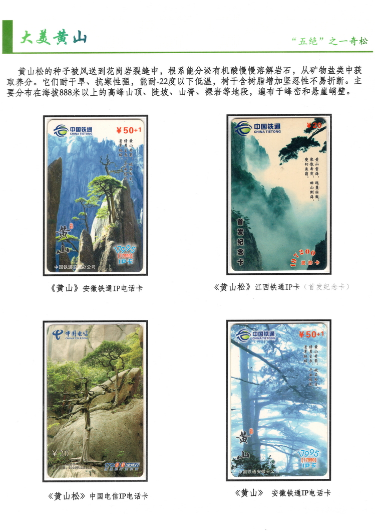 大美黄山-方政-110.jpg