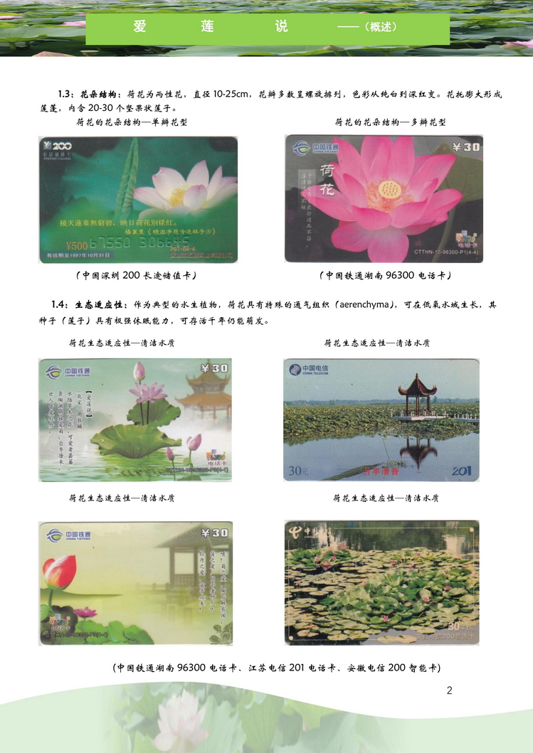 爱莲说-南京吕辉-103.jpg
