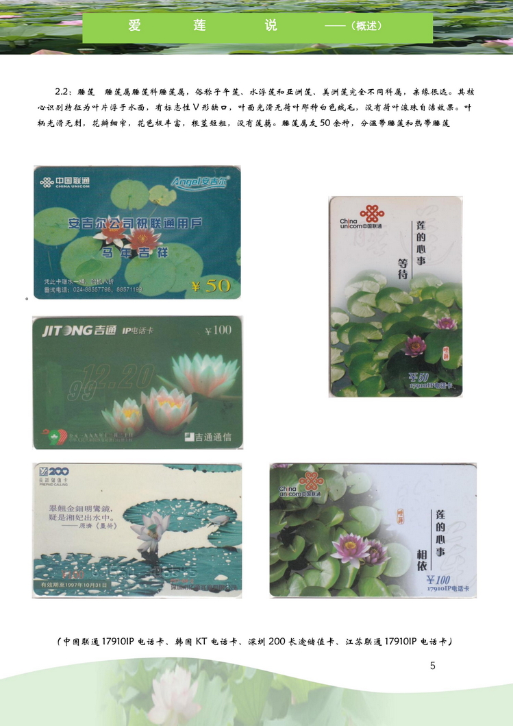 爱莲说-南京吕辉-106.jpg