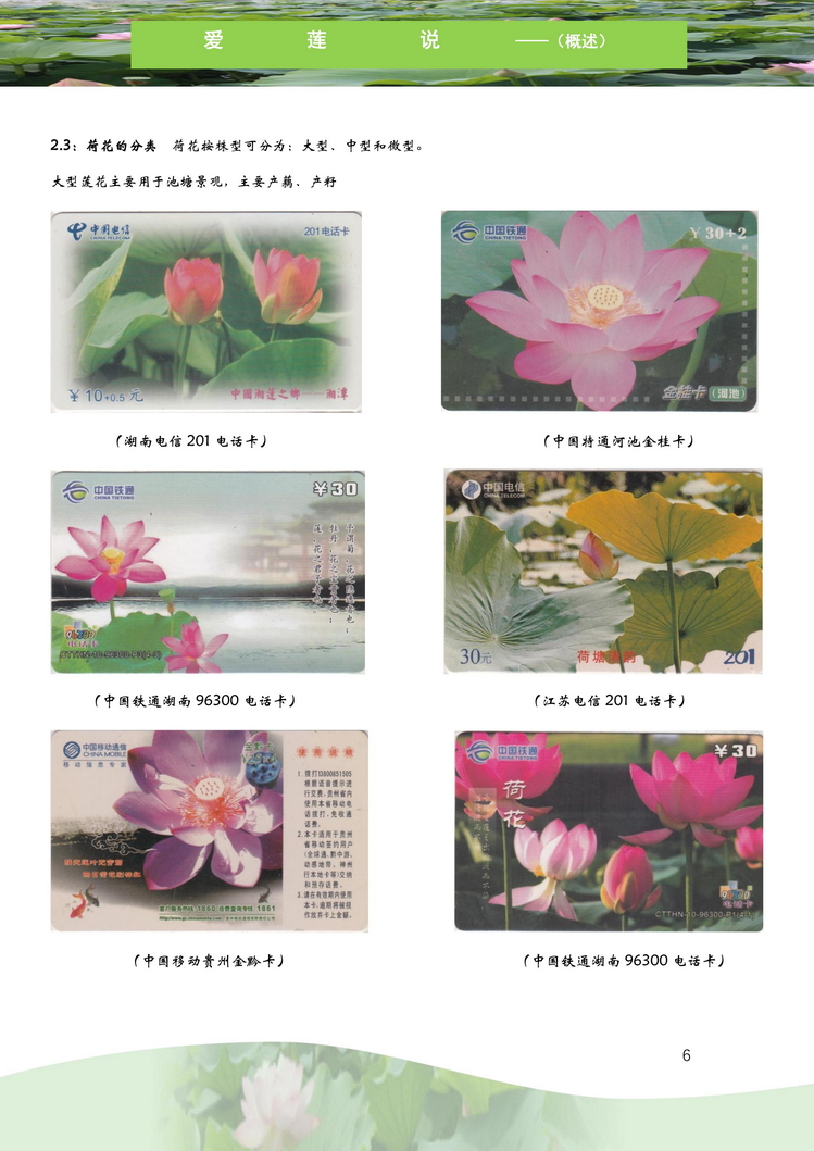 爱莲说-南京吕辉-107.jpg