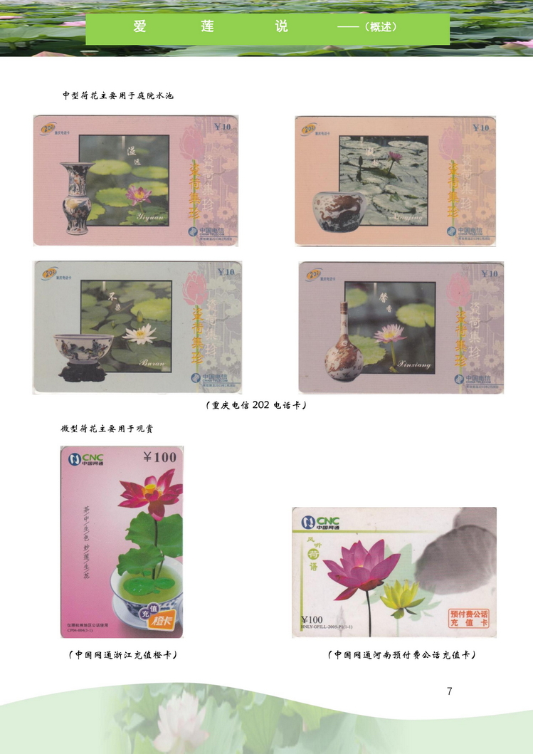 爱莲说-南京吕辉-108.jpg