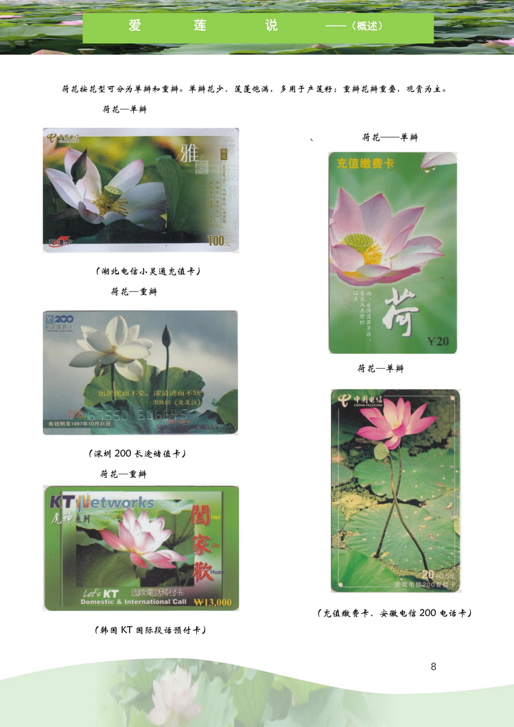 爱莲说-南京吕辉-109.jpg