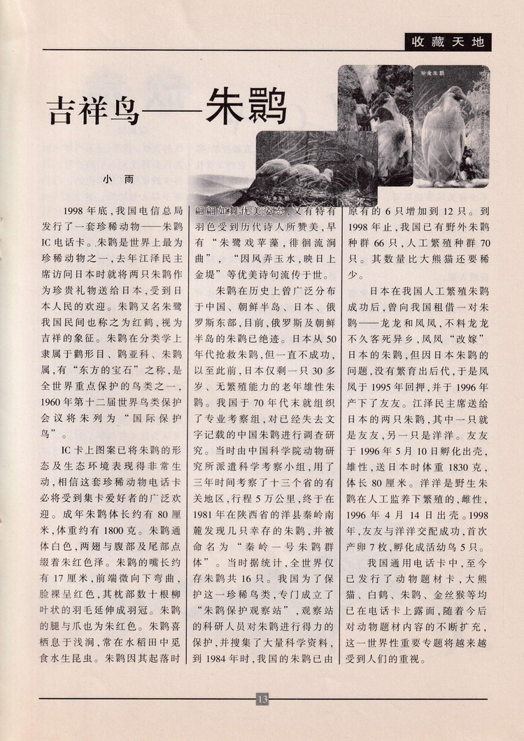 《金陵卡苑》第10期-17.jpg