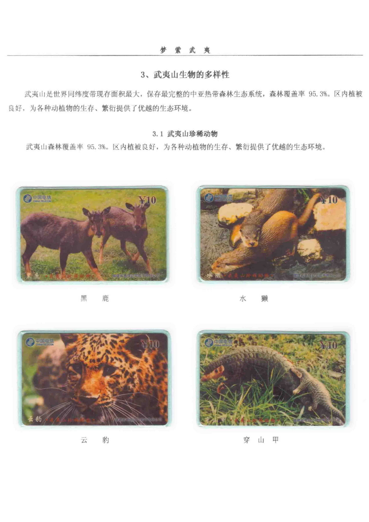《梦萦武夷》陶峰-214.jpg