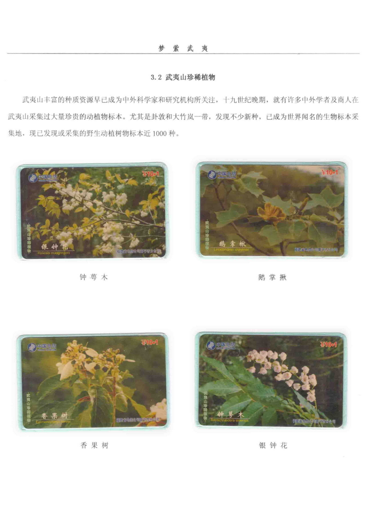 《梦萦武夷》陶峰-304.jpg