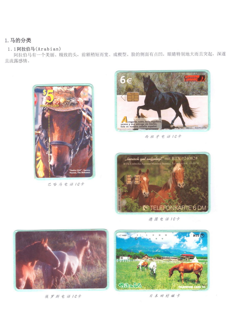 《说马》5框陶峰_104.jpg