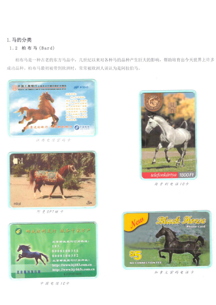 《说马》5框陶峰_106.jpg