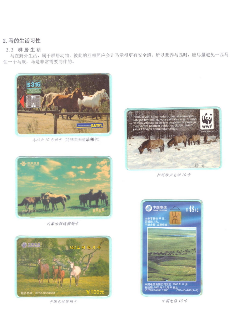 《说马》5框陶峰_112.jpg