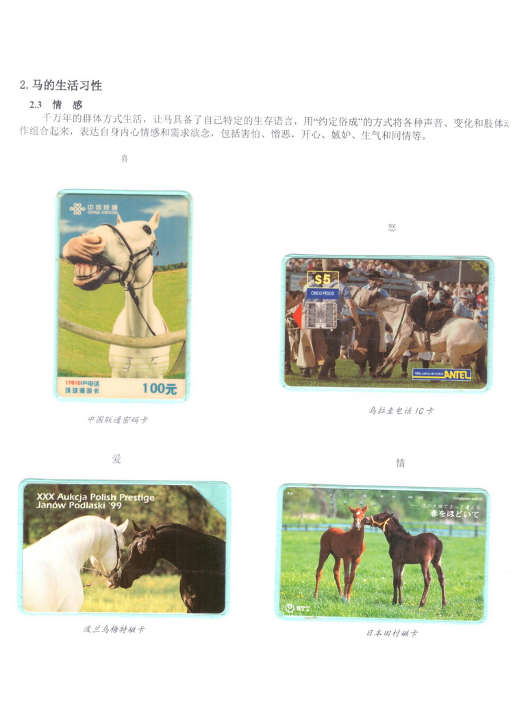 《说马》5框陶峰_114.jpg