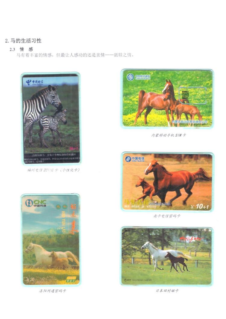 《说马》5框陶峰_115.jpg