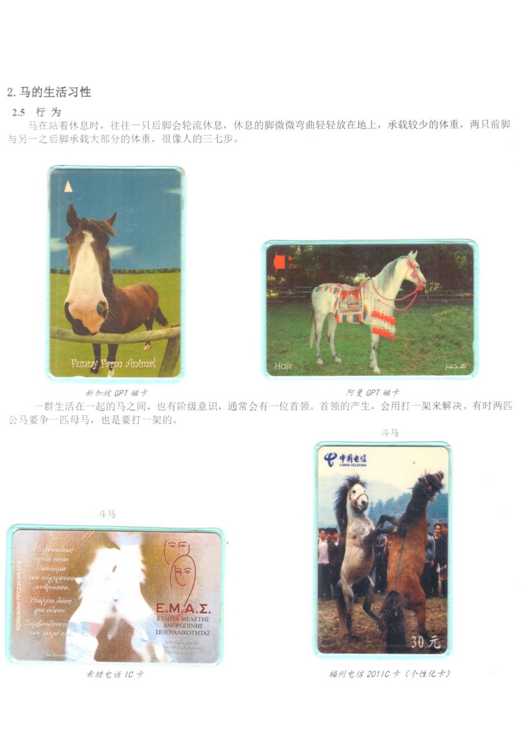 《说马》5框陶峰_201.jpg