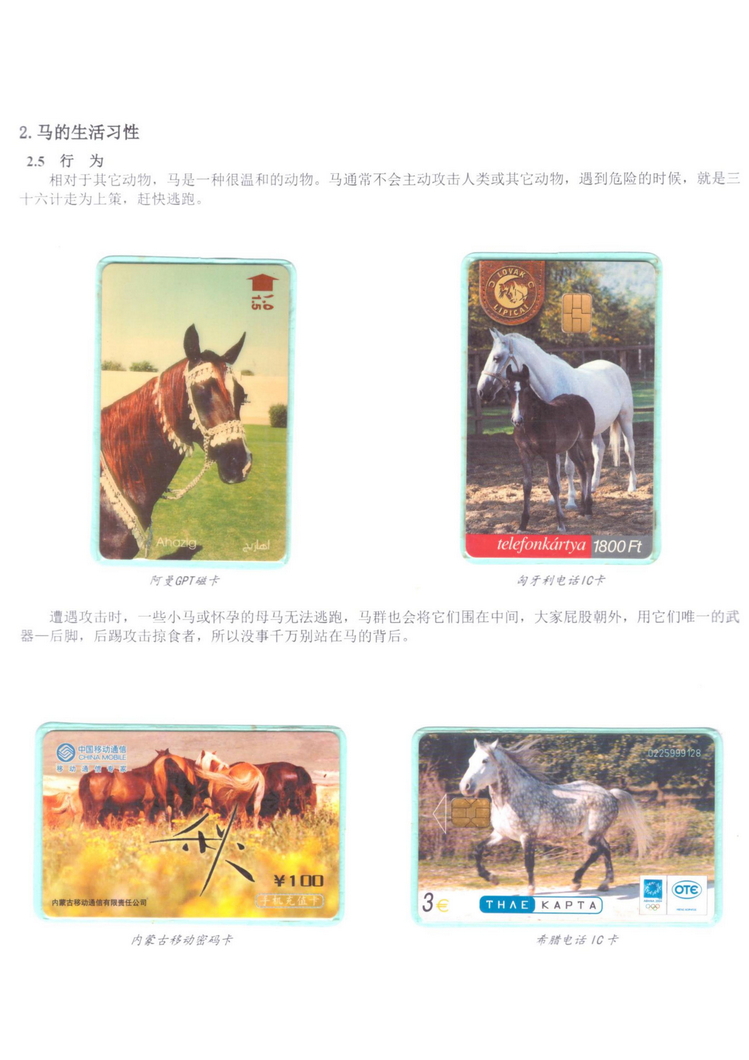 《说马》5框陶峰_202.jpg