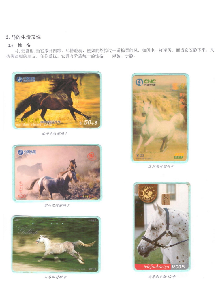 《说马》5框陶峰_204.jpg