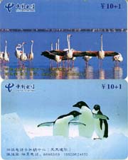 3cdb63a4a53353eaaea8c34e957250f7_gb-fujian-FJD-b-1%20027.jpg