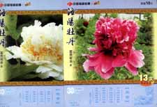 c604855dabf1816c5aff0803bf23110c_yhk20131118-8%20026.jpg